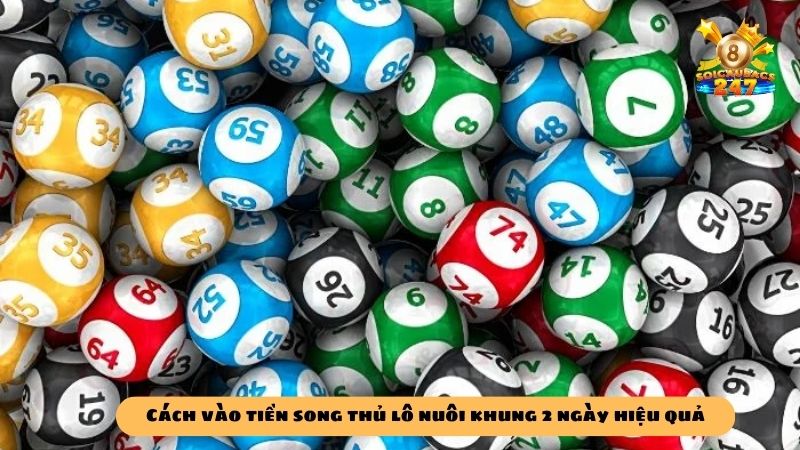 Kinh nghiệm nuôi song thủ lô khung 2 ngày luôn thắng
