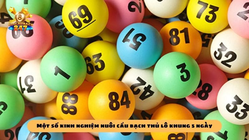 Nuôi bạch thủ lô khung 5 ngày bất bại chuẩn xác 99%