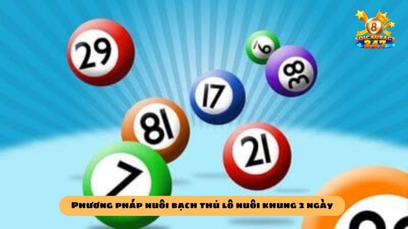 Kỹ thuật nuôi bạch thủ lô khung 2 ngày bách chiến bách thắng