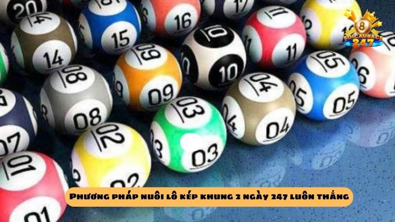 Kỹ thuật nuôi lô kép khung 2 ngày 247 bất bại miễn phí