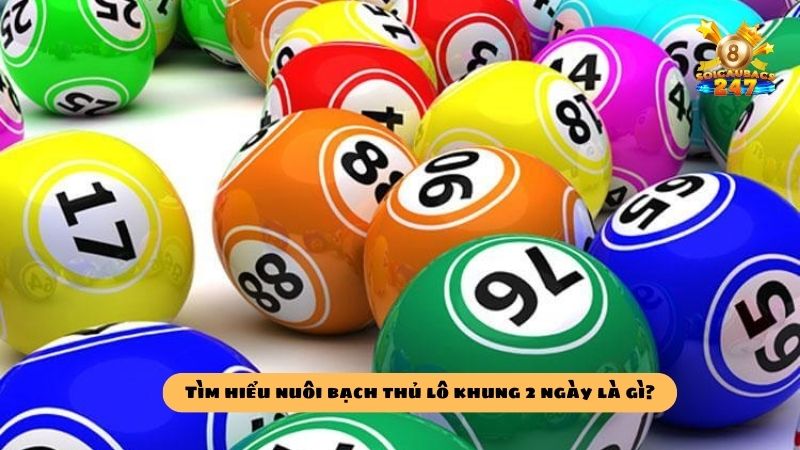 Kỹ thuật nuôi bạch thủ lô khung 2 ngày bách chiến bách thắng