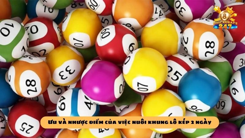 Kỹ thuật nuôi lô kép khung 2 ngày 247 bất bại miễn phí