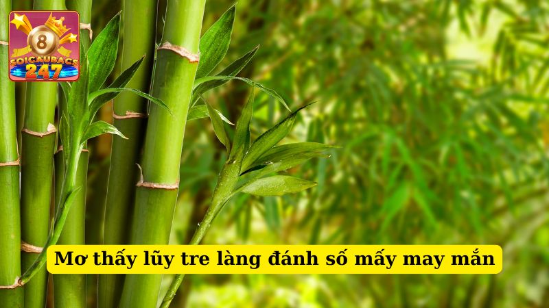 Mơ thấy lũy tre làng đánh số mấy? Ý nghĩa giấc mơ thấy lũy tre là gì