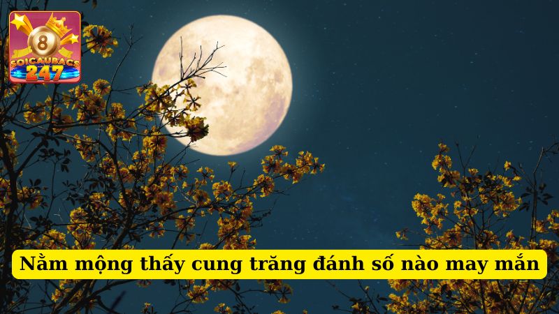 Nằm mộng thấy cung trăng đánh số nào? ý nghĩa giấc mơ thấy cung trăng