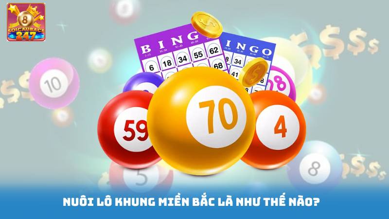 Nuôi Lô Khung Miền Bắc - Mẹo Nuôi Lô Khung Hiệu Quả