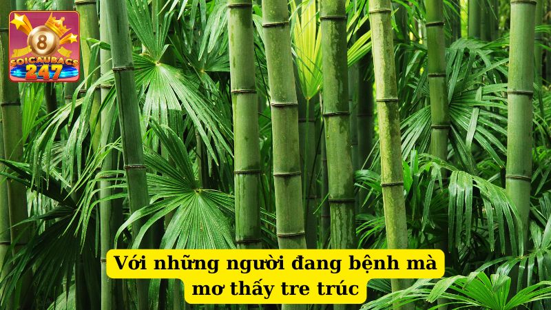 Mơ thấy lũy tre làng đánh số mấy? Ý nghĩa giấc mơ thấy lũy tre là gì