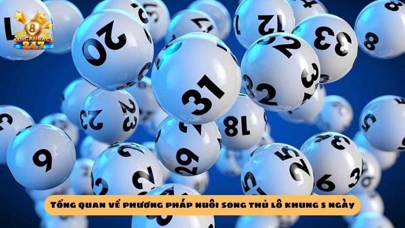 Phương pháp nuôi song thủ lô khung 5 ngày bất bại miễn phí