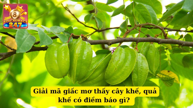 Nằm mơ thấy cây khế đánh số nào may mắn? Báo hiệu điềm báo gì?