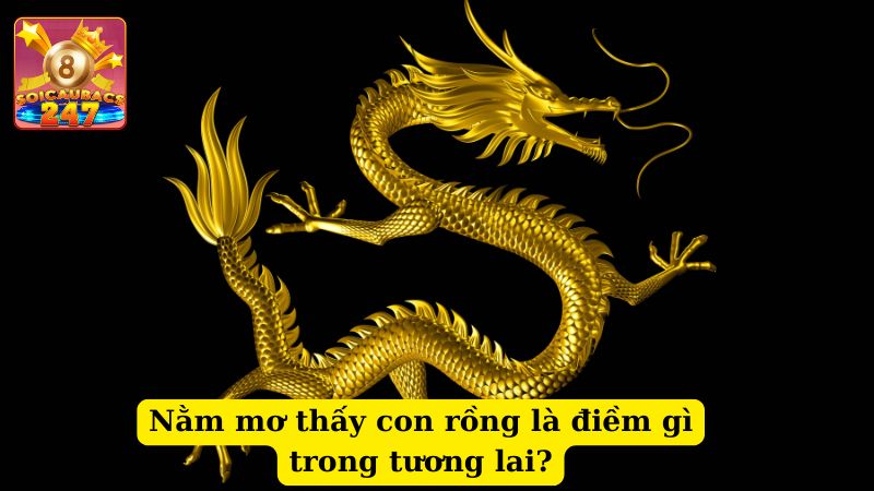 Nằm mộng thấy rồng đánh số gì? Mơ thấy rồng tốt hay xấu