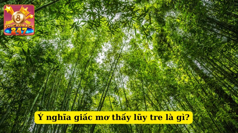 Mơ thấy lũy tre làng đánh số mấy? Ý nghĩa giấc mơ thấy lũy tre là gì