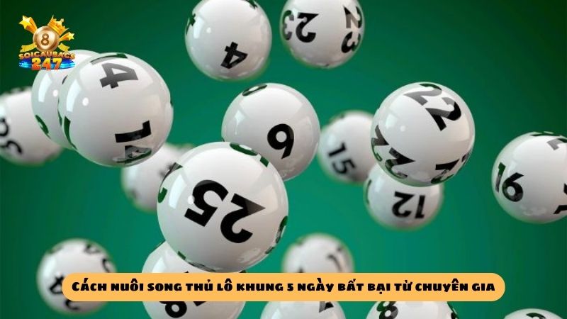 Phương pháp nuôi song thủ lô khung 5 ngày bất bại miễn phí