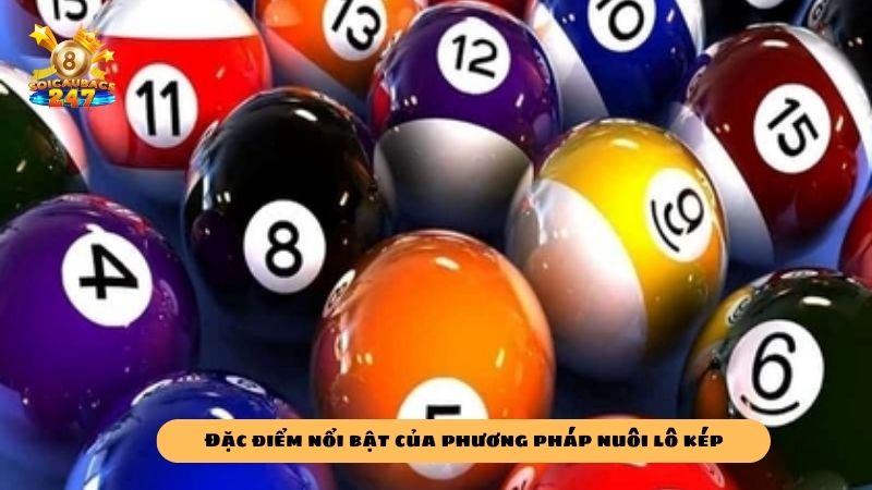 Kinh nghiệm nuôi lô kép khung 3 ngày 247 bất bại siêu chuẩn