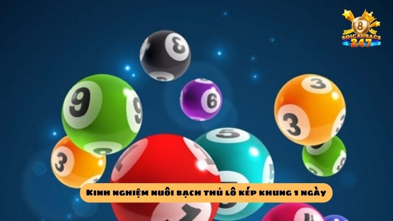 Mẹo nuôi bạch thủ lô kép khung 1 ngày chuẩn xác nhất