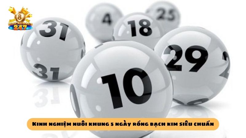 Mẹo nuôi lô kép khung 5 ngày rồng bạch kim bách chiến bách thắng