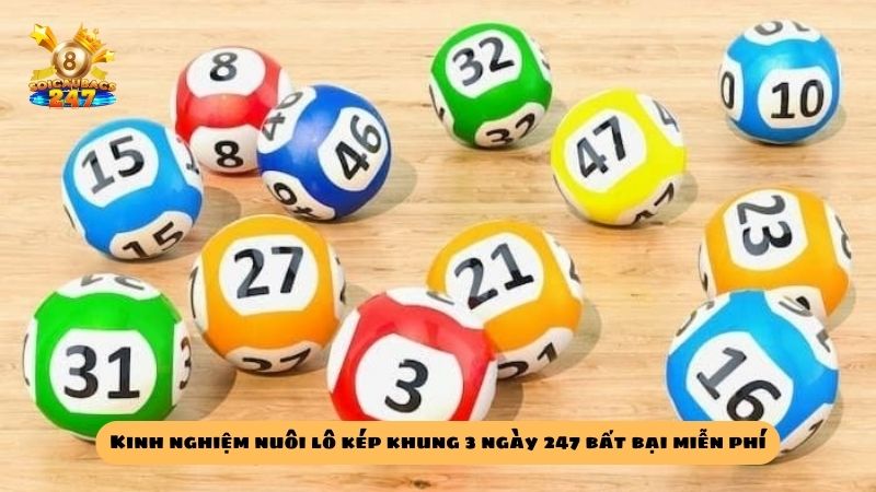 Kinh nghiệm nuôi lô kép khung 3 ngày 247 bất bại siêu chuẩn