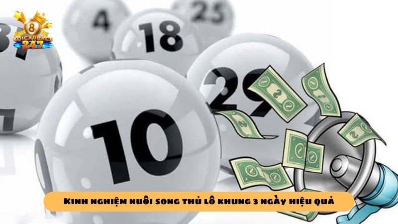 Kinh nghiệm nuôi song thủ lô khung 3 ngày bất bại miễn phí