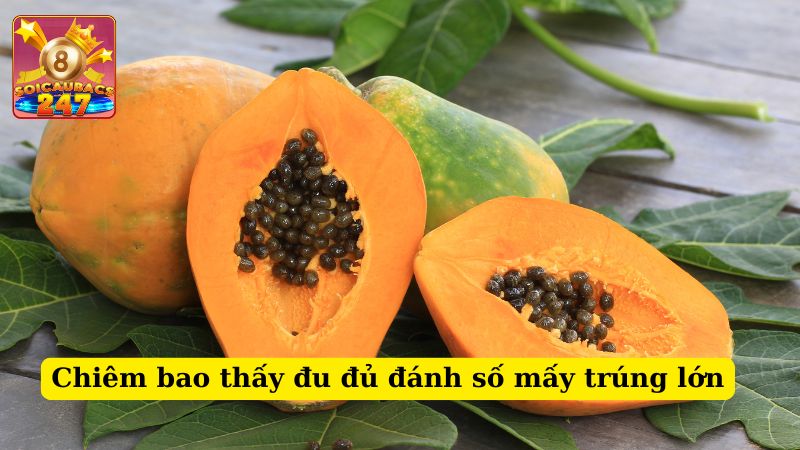 Chiêm bao thấy đu đủ đánh số mấy? Ý nghĩa giấc mơ thấy đu đủ