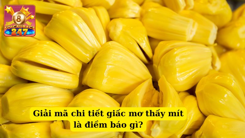 Chiêm bao thấy cây mít đánh số mấy? Giải mã ý nghĩa giấc mơ thấy mít