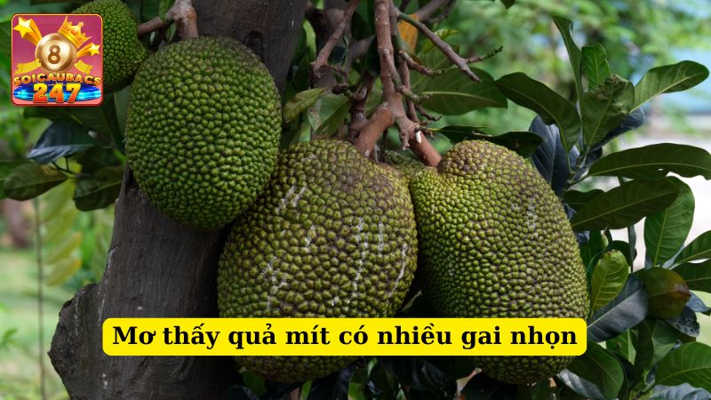 Chiêm bao thấy cây mít đánh số mấy? Giải mã ý nghĩa giấc mơ thấy mít
