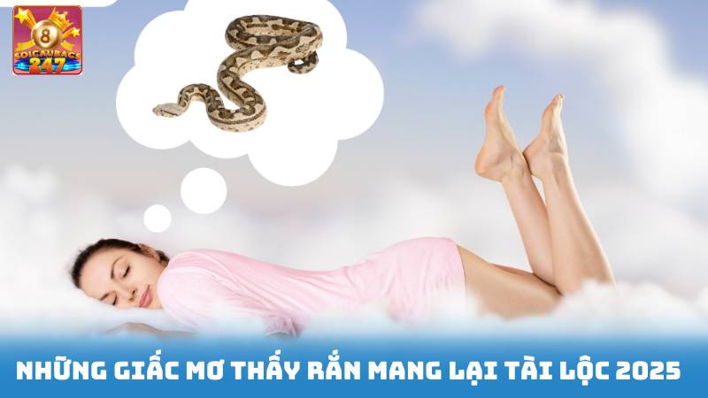 Nằm Mơ Thấy Rắn Cắn Đánh Số Gì - Giải Thích Giấc Mơ