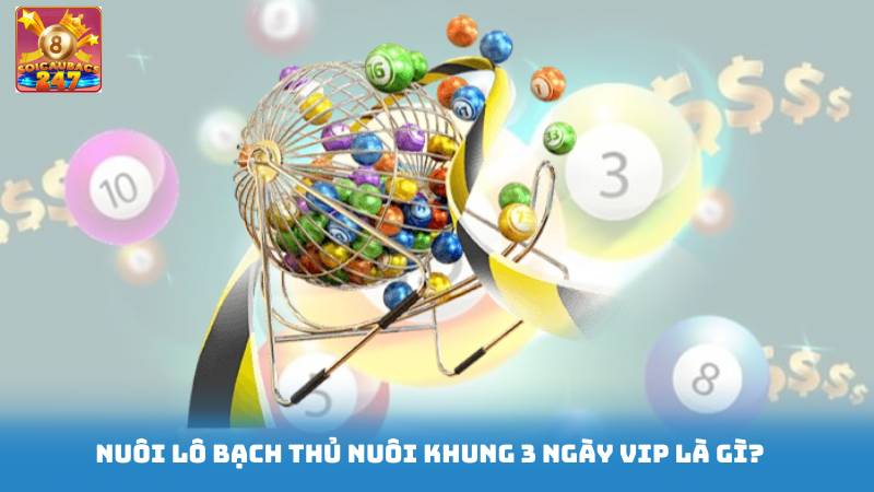 Nuôi Lô Bạch Thủ Nuôi Khung 3 Ngày Vip - Cách Nuôi Hiệu Quả