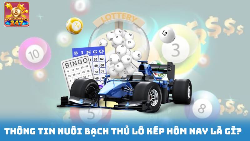 Nuôi Bạch Thủ Lô Kép Hôm Nay - Soi Cầu Miễn Phí Mỗi Ngày