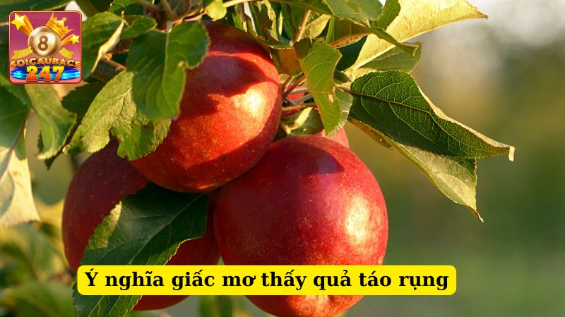 Giải mã ý nghĩa mơ thấy quả táo - Mơ thấy quả táo đánh số mấy?